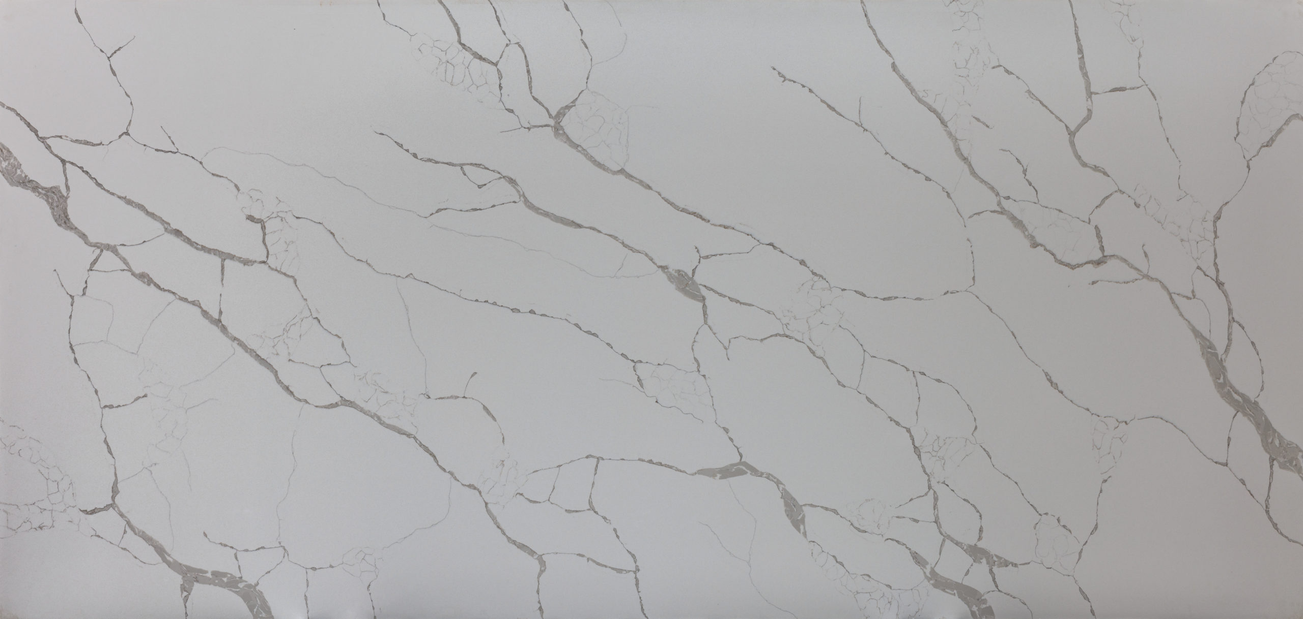SmartQuartz Calacatta Tree