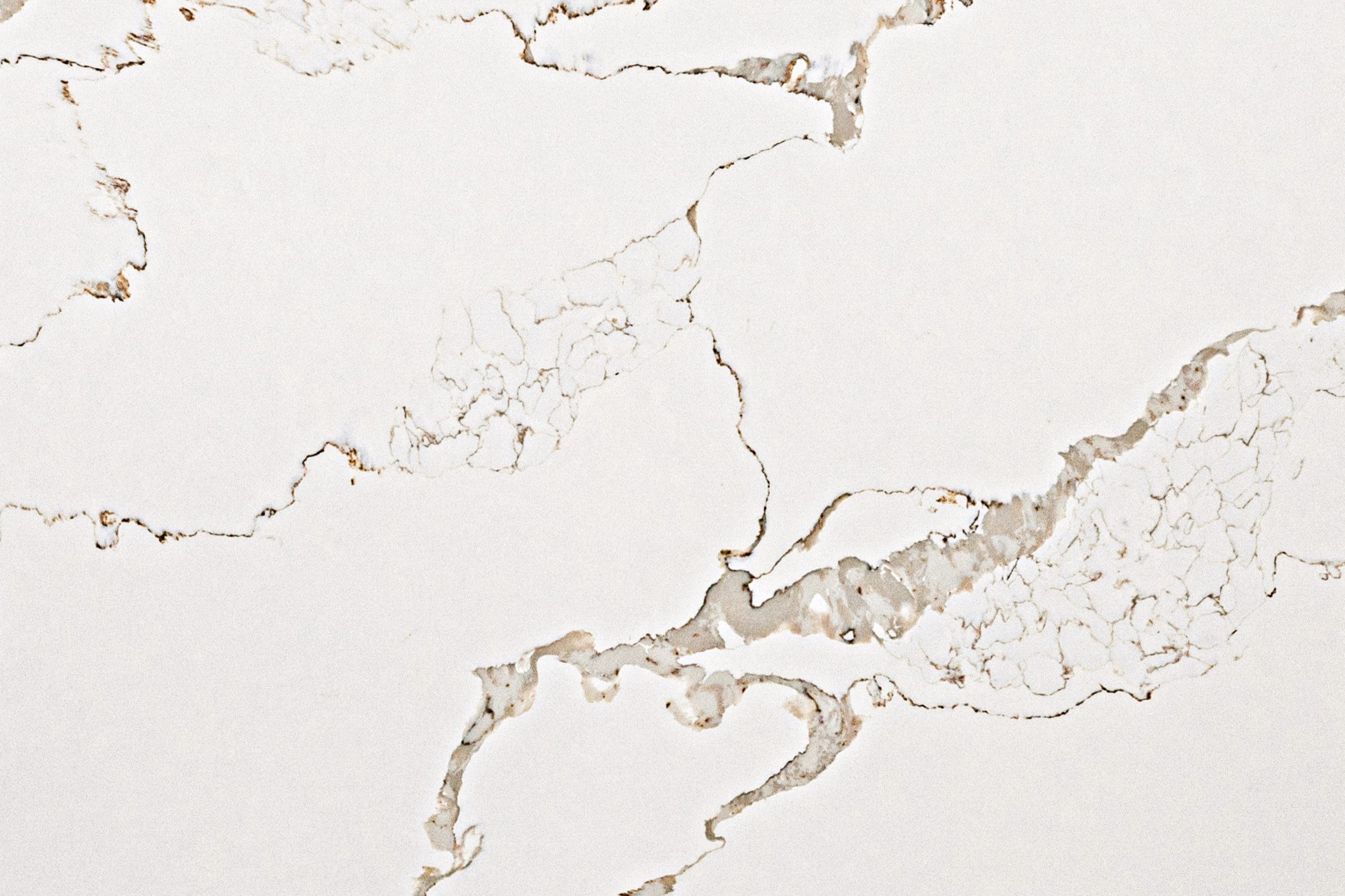 Still Stone GT9980 Calacatta Maggiore