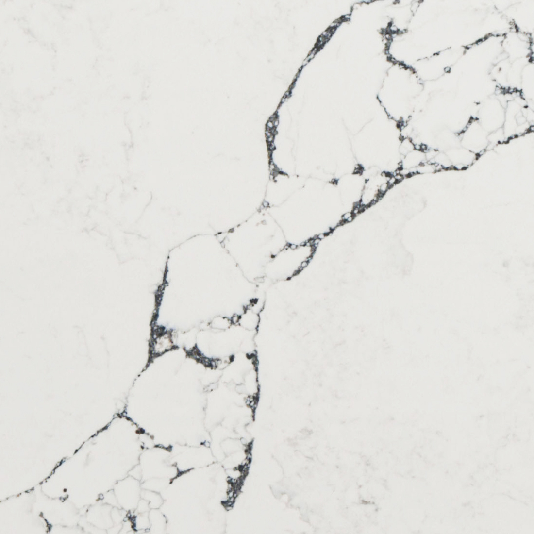 Asterum 5101 Everest