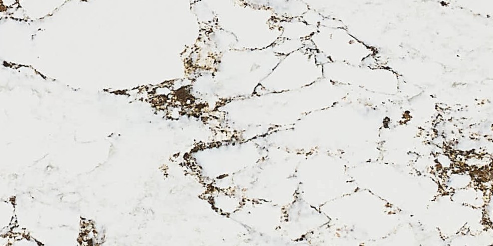 Aleph Stone A76 Arabescato Miele