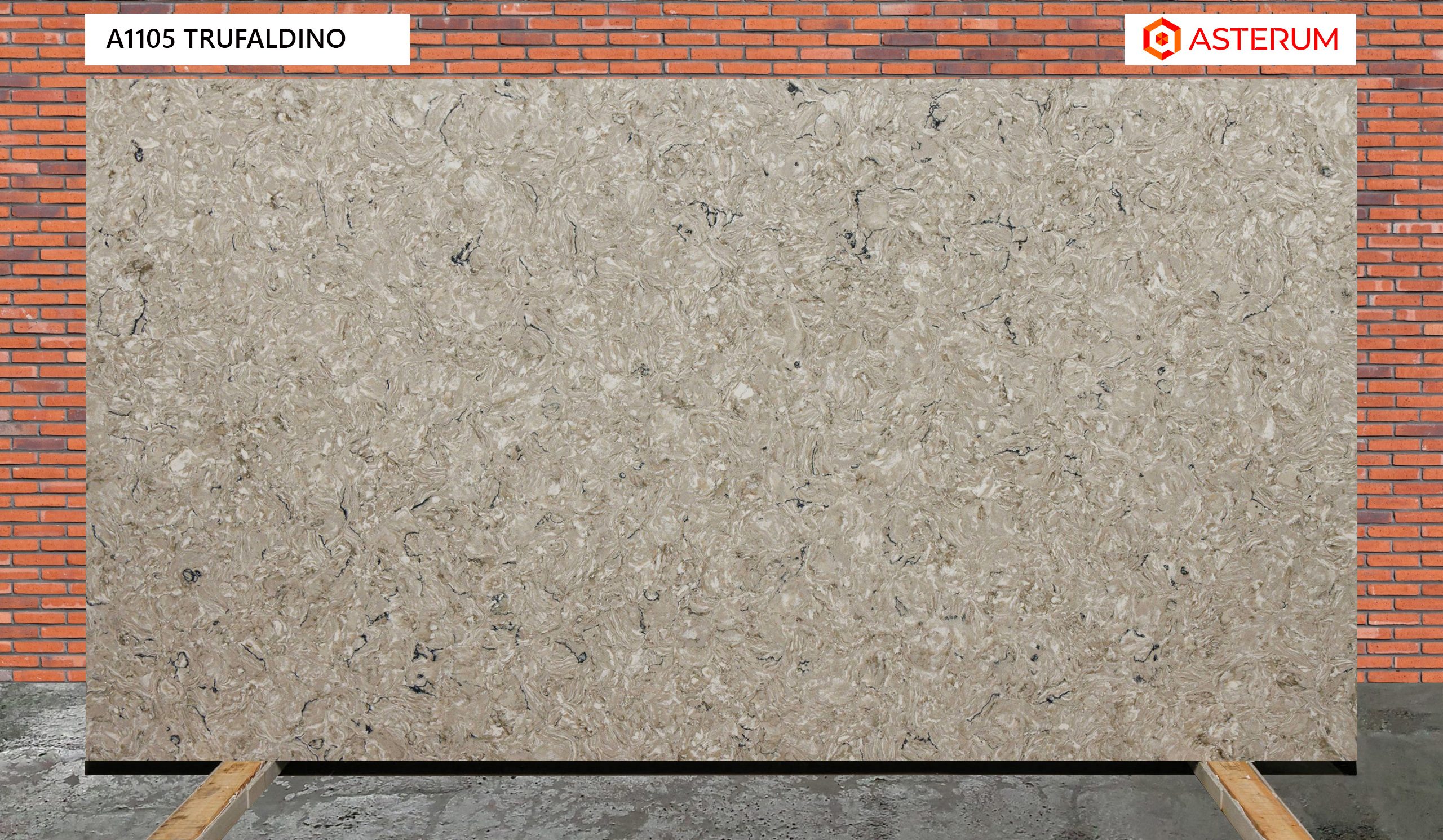 Asterum 1105 Trufaldino