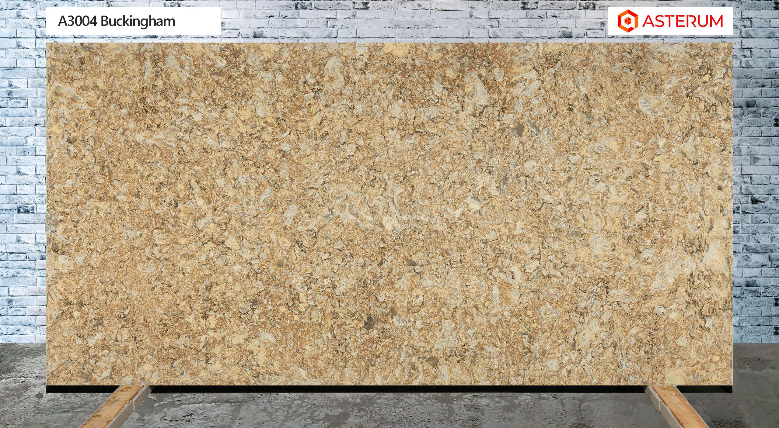 Asterum 3004 Buckingham