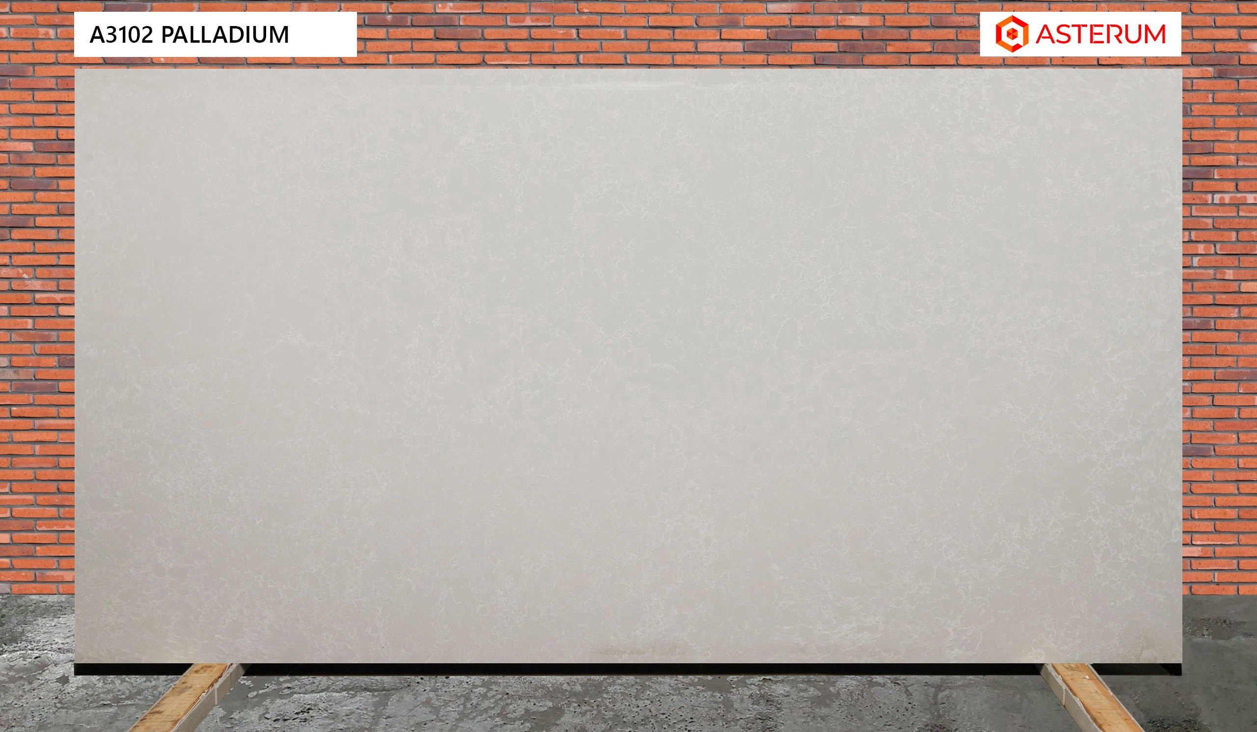 Asterum 3102 Palladium