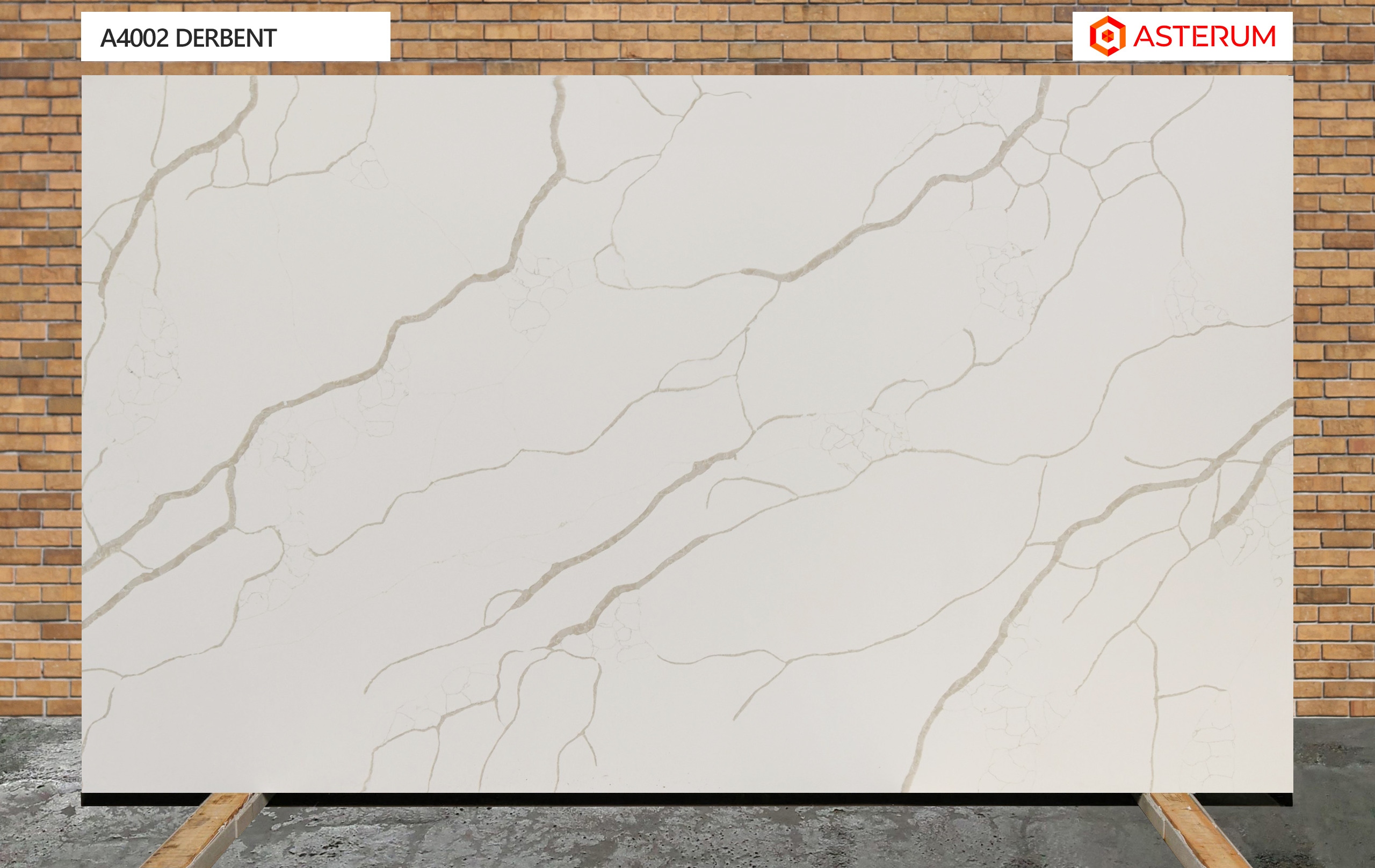 Asterum 4002 Derbent