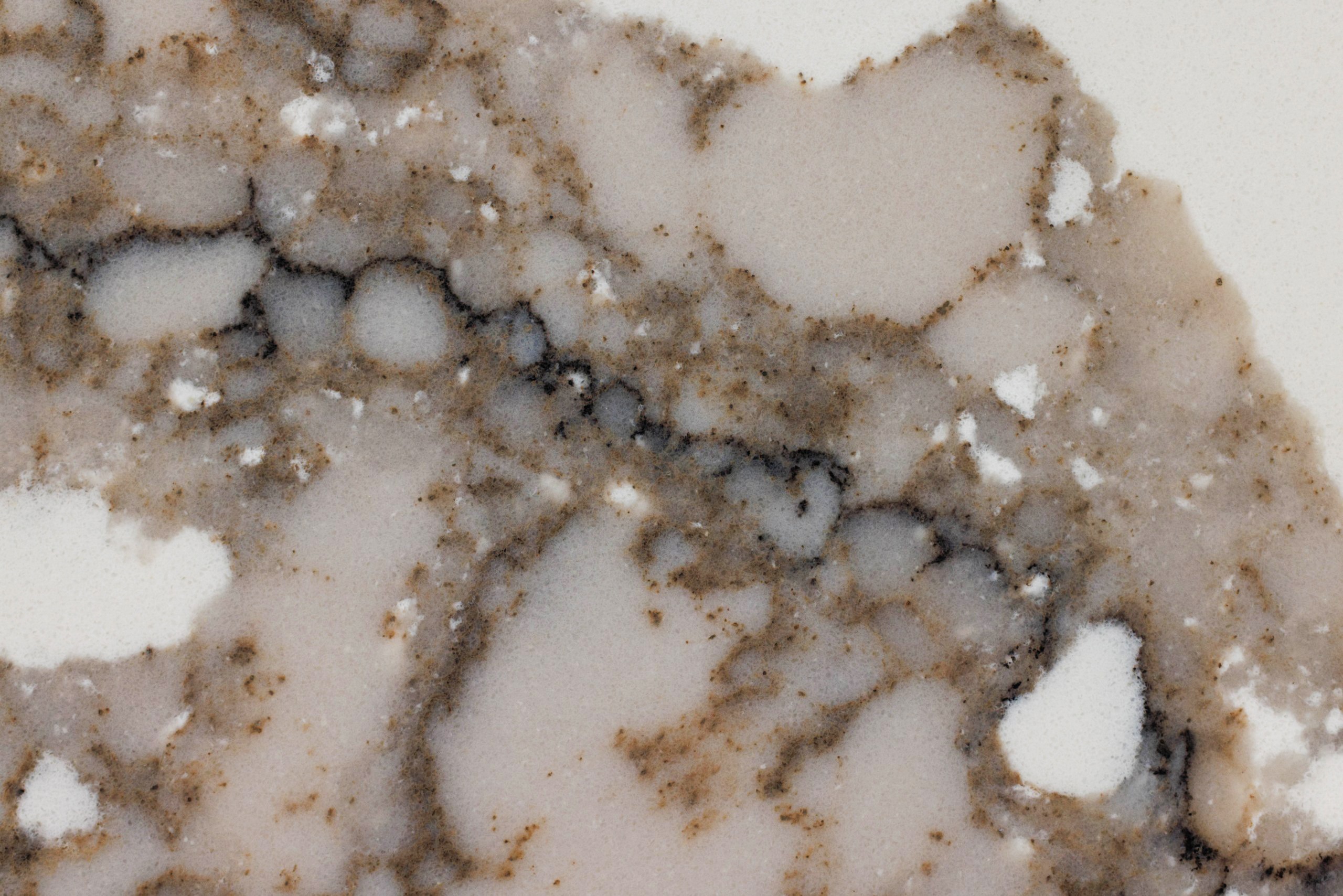 Asterum 4104 Bionica