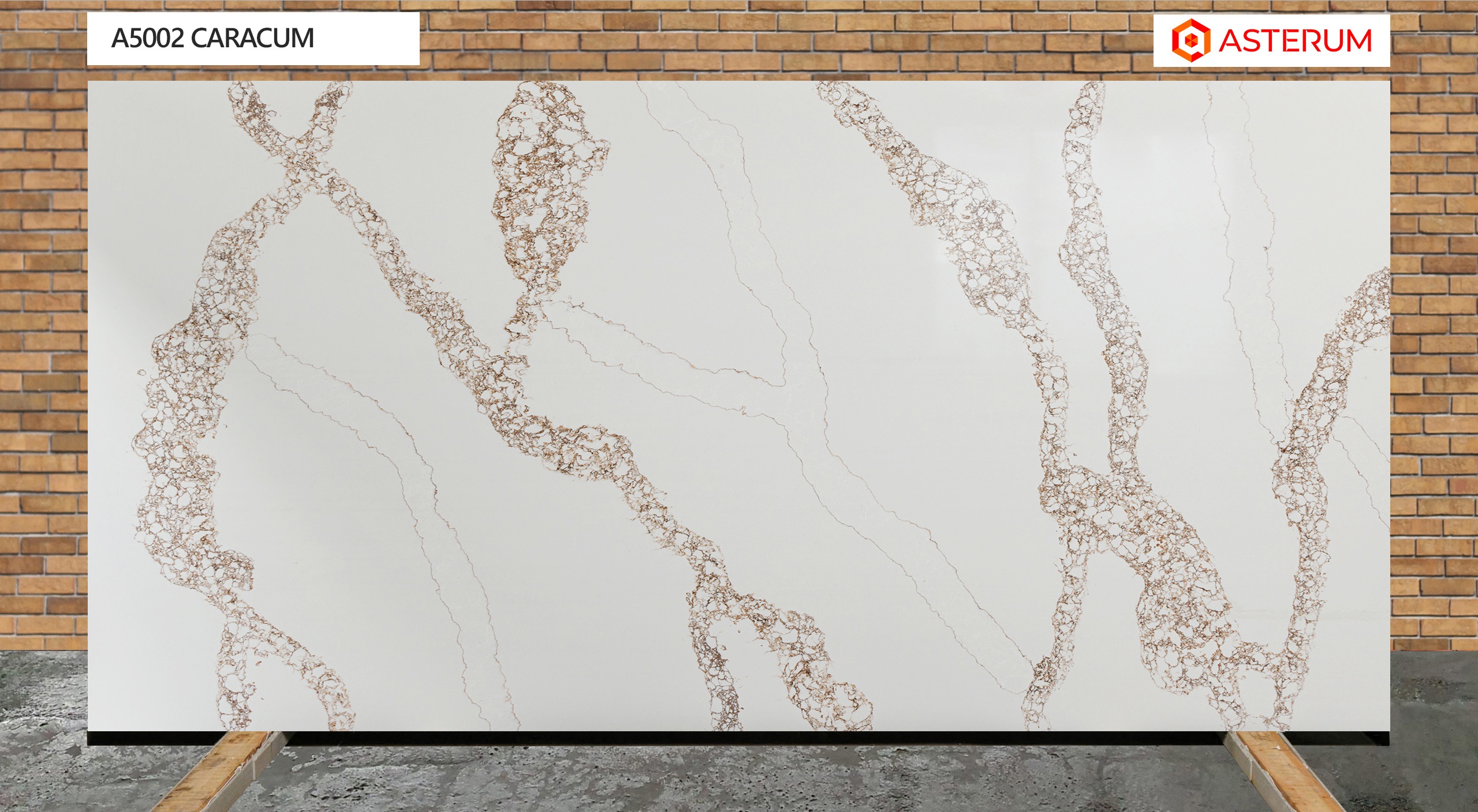 Asterum 5002 Caracum