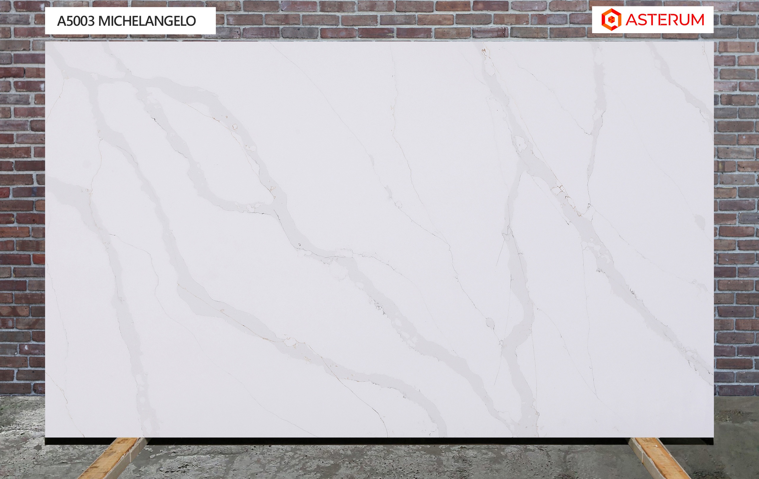 Asterum 5003 Michelangelo