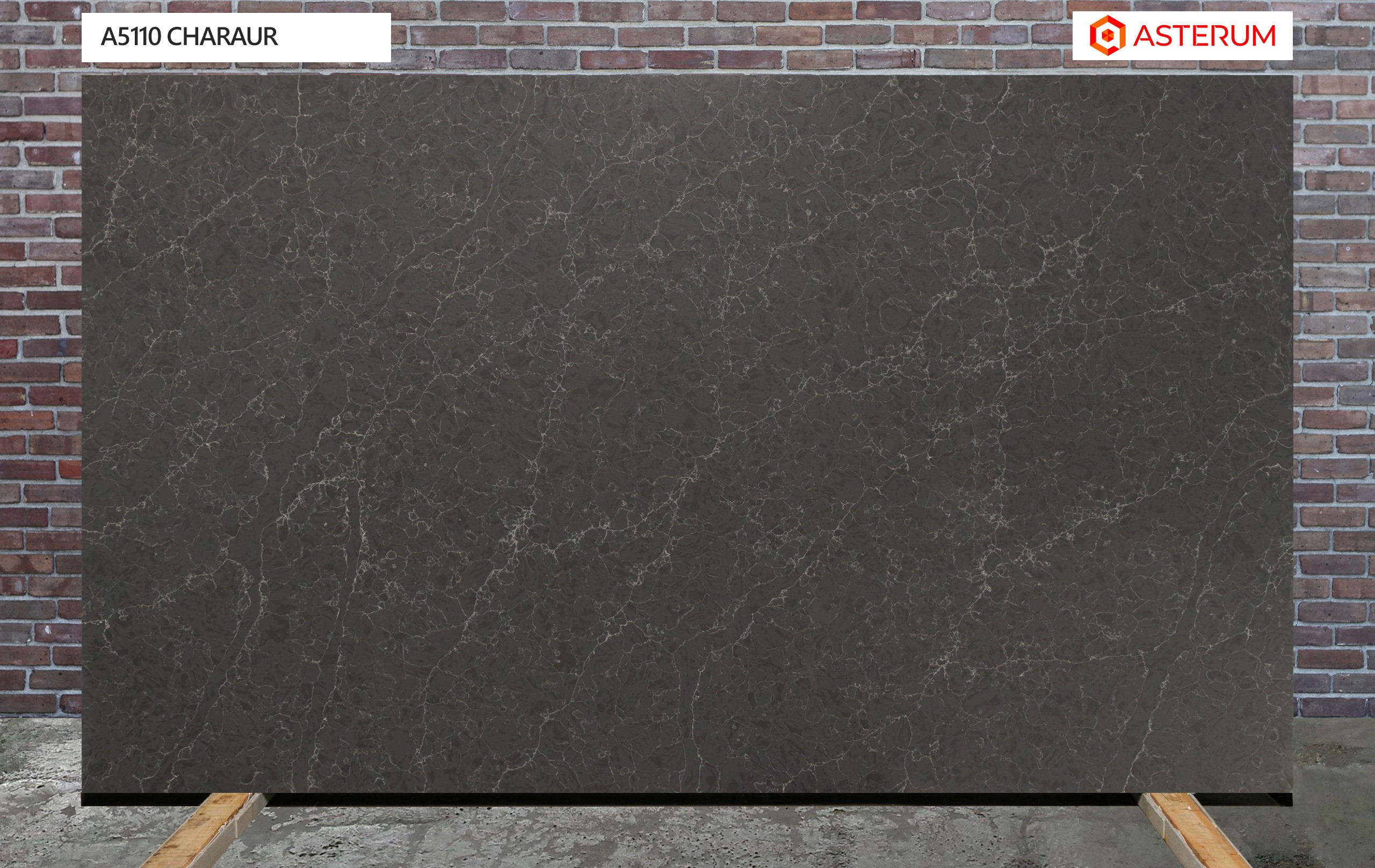 Asterum 5110 Charaur
