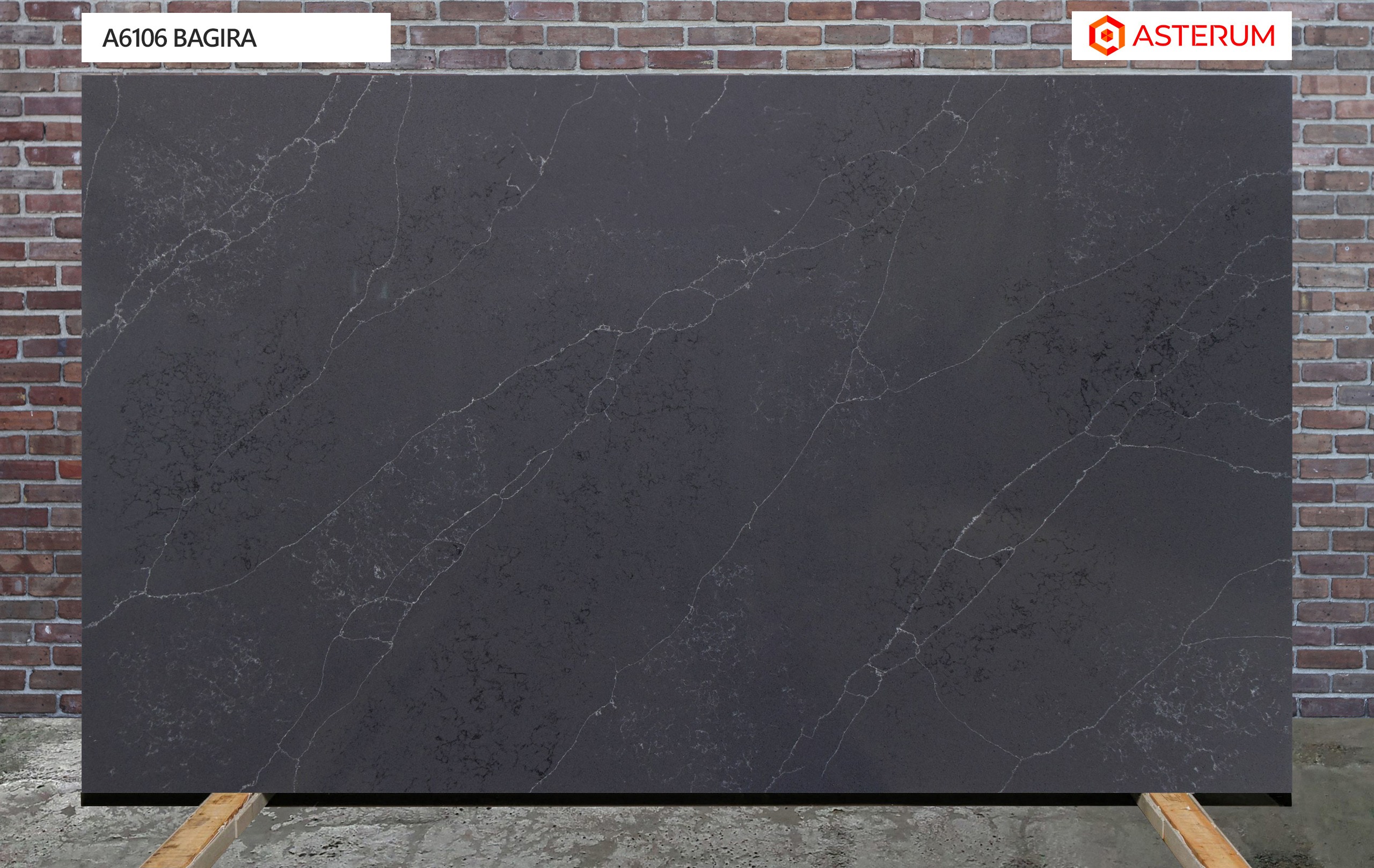 Asterum 6106 Bagira