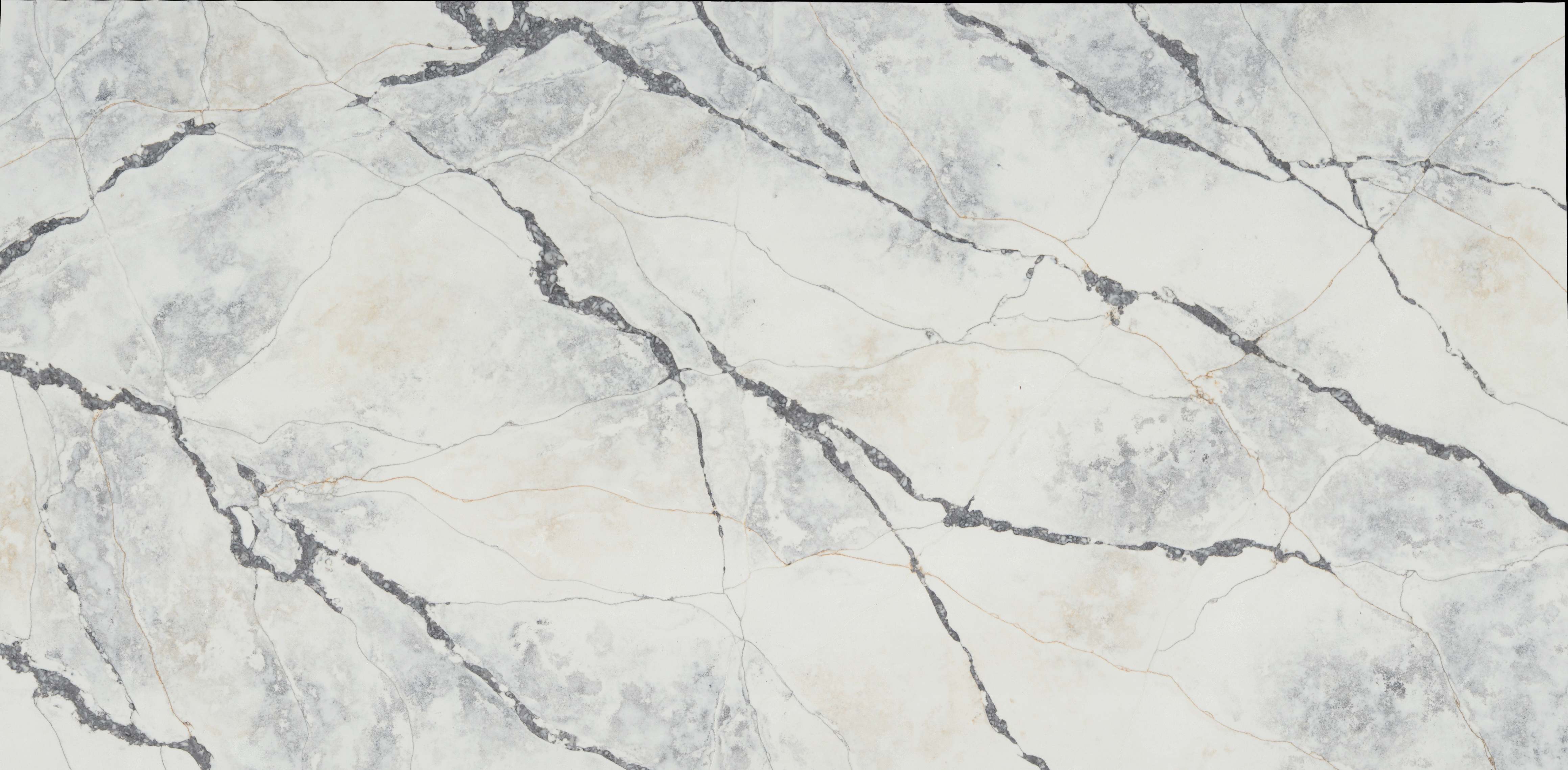 Primax 703 Rich Calacatta