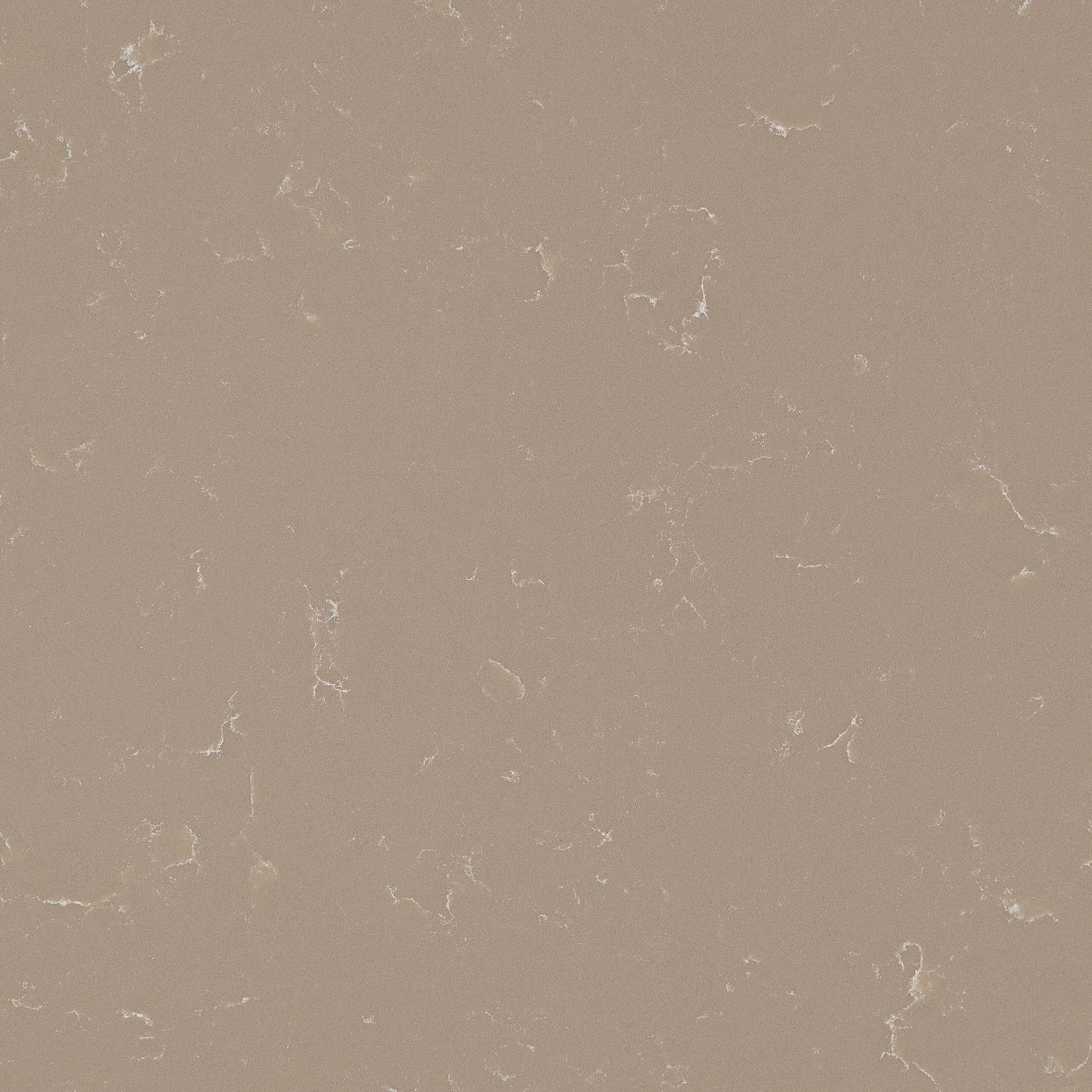 Coante 3307 Kalynda