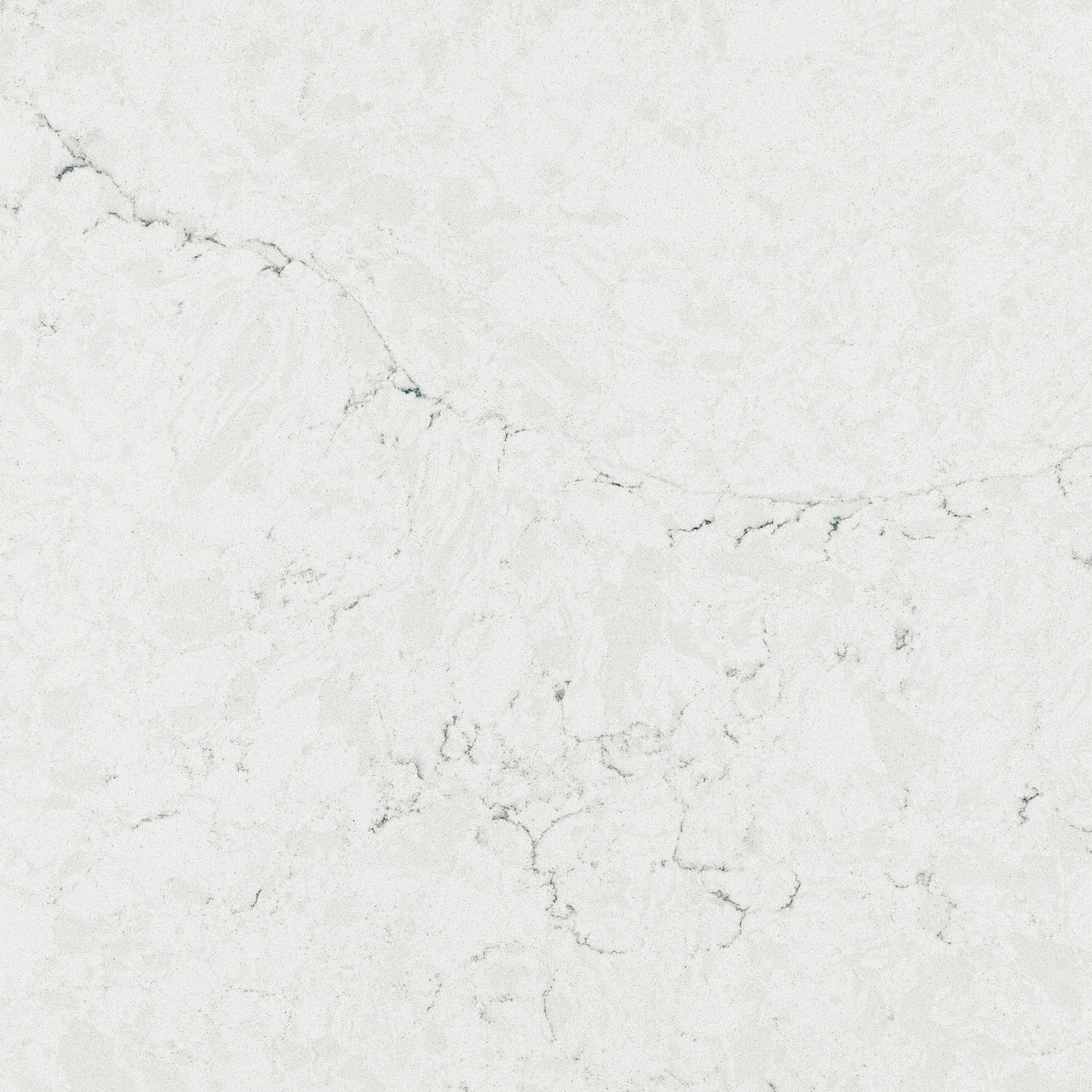 Coante 7701 Calacatta Edera