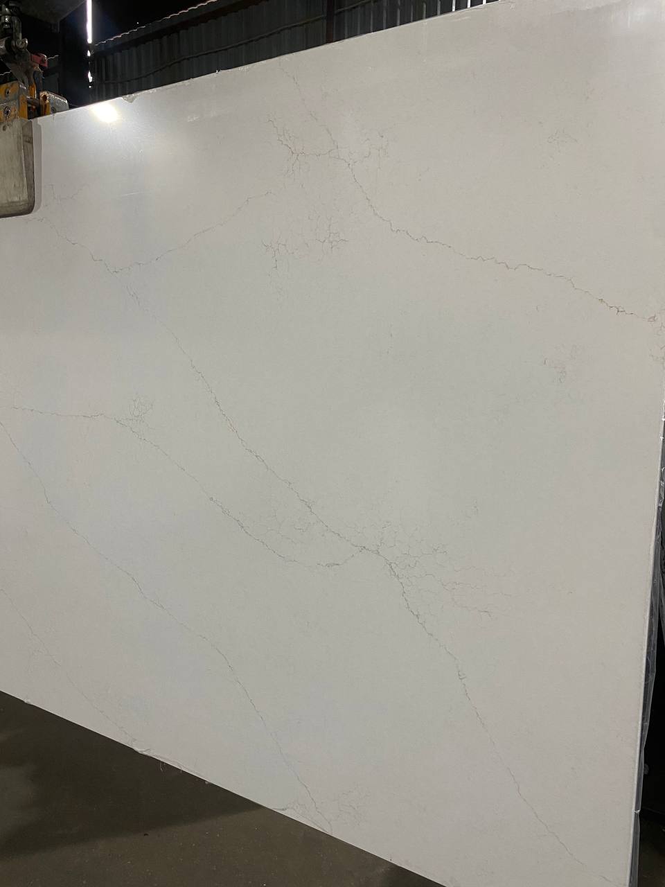 Stratos C5445 Muse