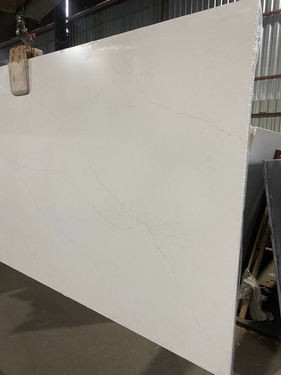 Stratos C5445 Muse