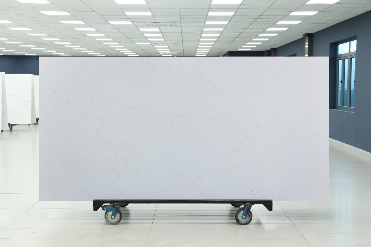Stratos C5445 Muse